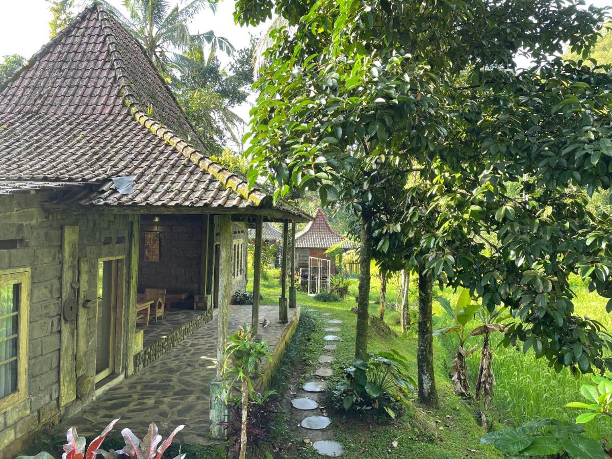 Tepi Sawah Lodge & Retreat Jatiluwih Buitenkant foto